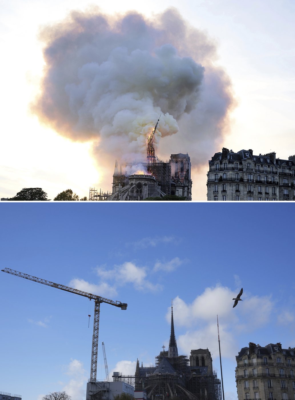 Notre Dame's reopening will begin with an archbishop's knock on the doors. Here's what comes next | iNFOnews.ca Notre Dame's reopening will begin with an archbishop's knock on the doors. Here's what comes next | iNFOnews.ca