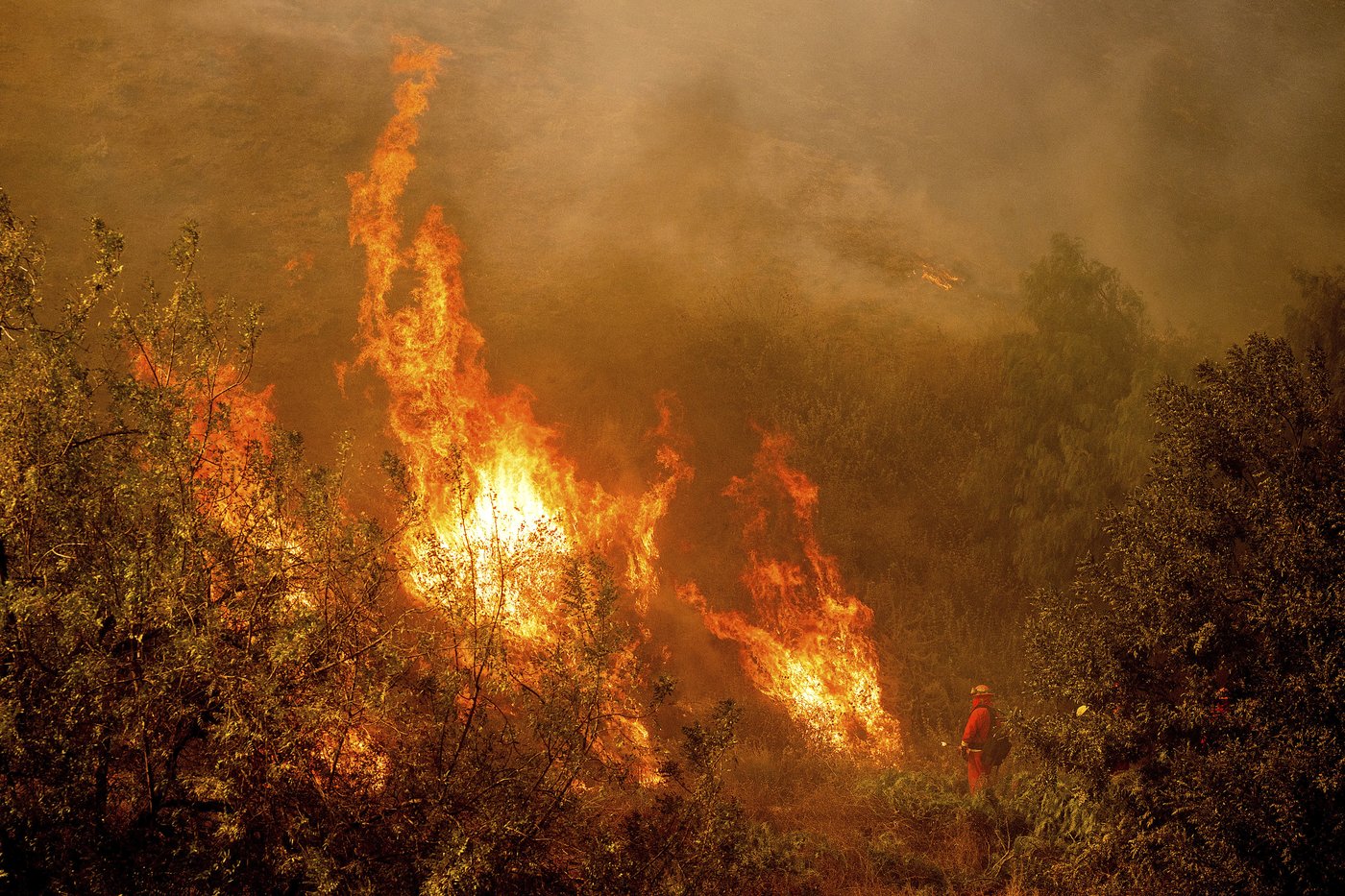 Southern California wildfire destroys 132 structures as officials look for fierce winds to subside | iNFOnews.ca