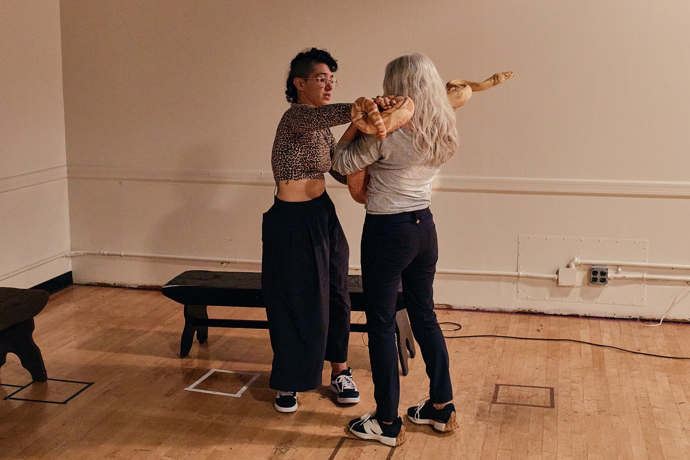 Photos show snakes auditioning for a role at New York’s Metropolitan Opera | iNFOnews.ca