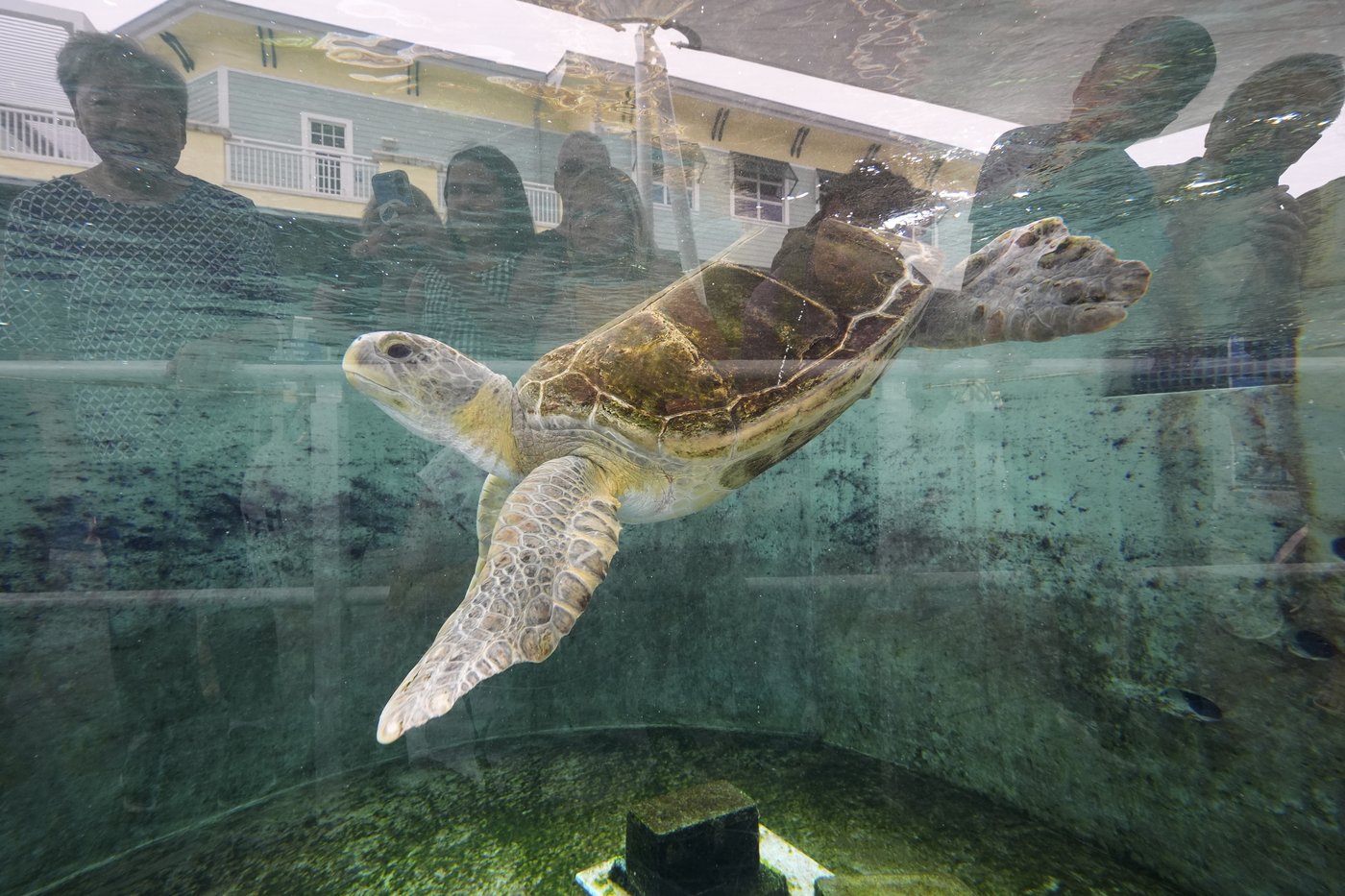 PHOTO COLLECTION: AP Top Photos of the Day, Sunday, June 8, 2025 | iNFOnews.ca