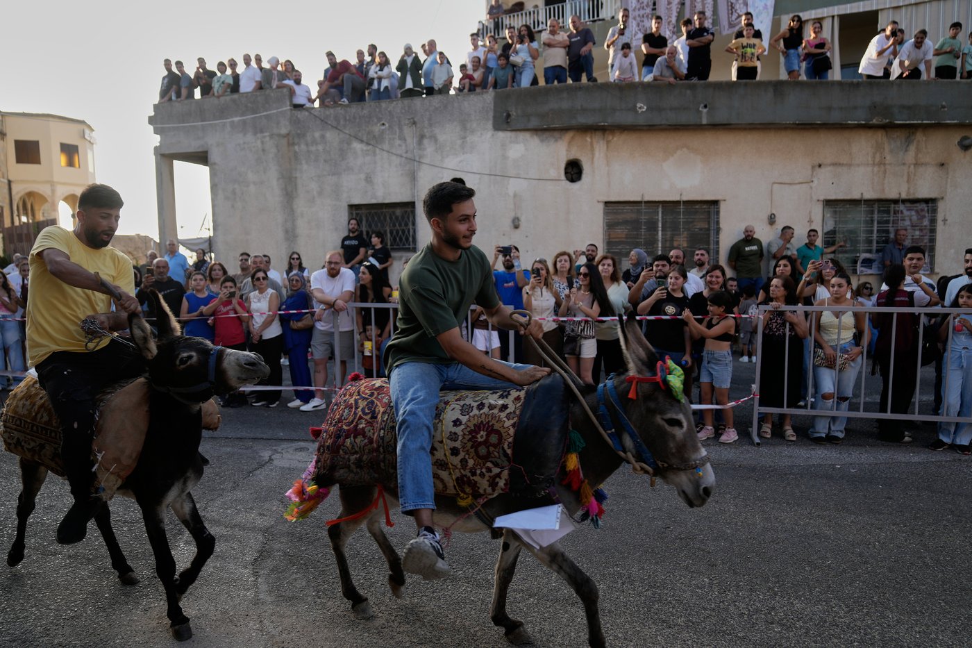 Donkeys don bows and sunglasses for a summer race in southern Lebanon, in photos | iNFOnews.ca