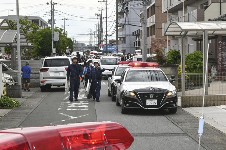 Japanese city captures bear that caused fear and school closures | iNFOnews.ca