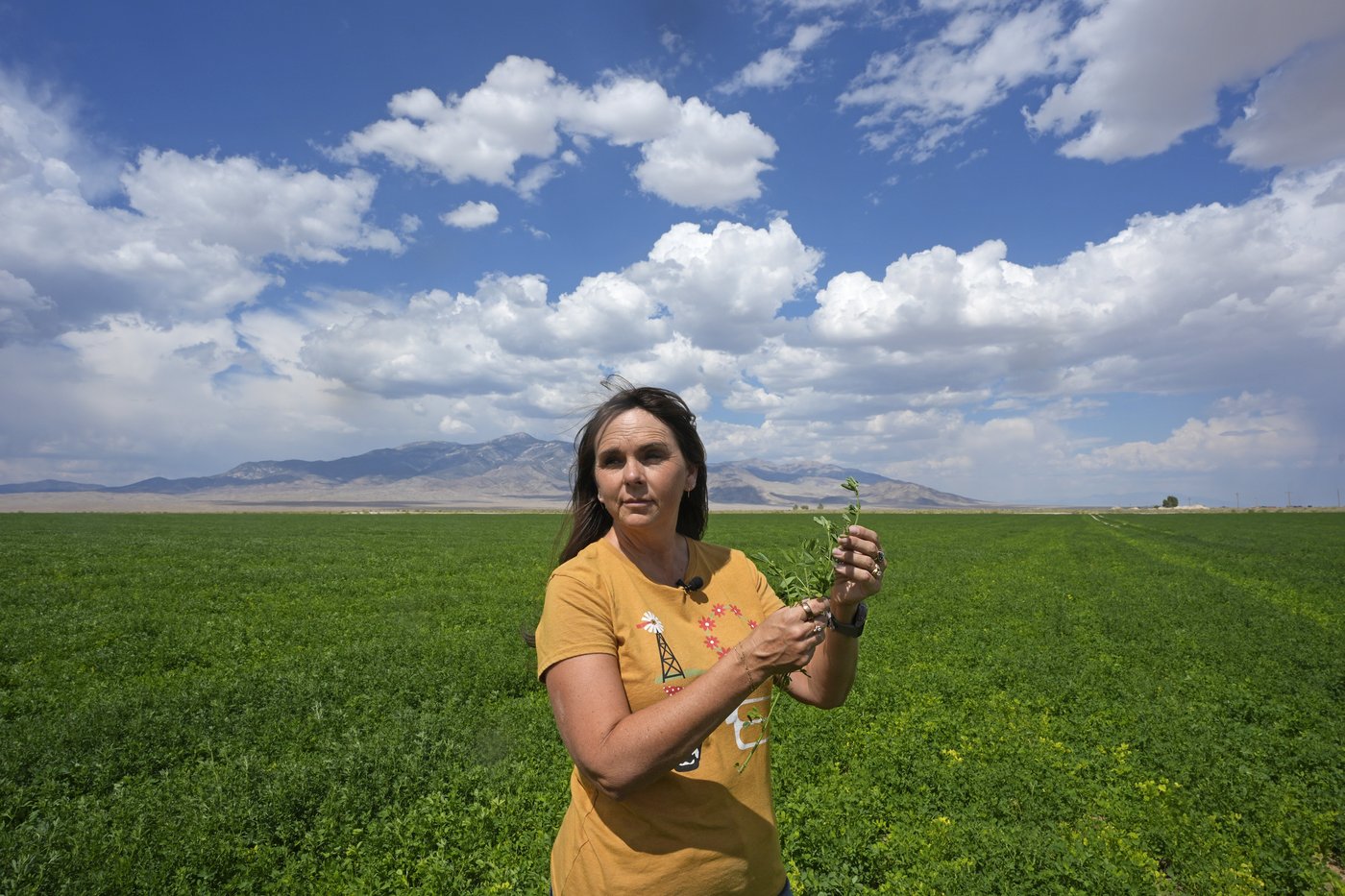 In Nevada, immigration is a nuanced issue. But the politics of it is painted in black and white | iNFOnews.ca In Nevada, immigration is a nuanced issue. But the politics of it is painted in black and white | iNFOnews.ca