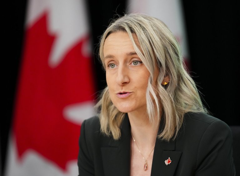 CP NewsAlert: 26 'low-risk' air passengers being contacted about hantavirus: Canada's top doctor | iNFOnews.ca