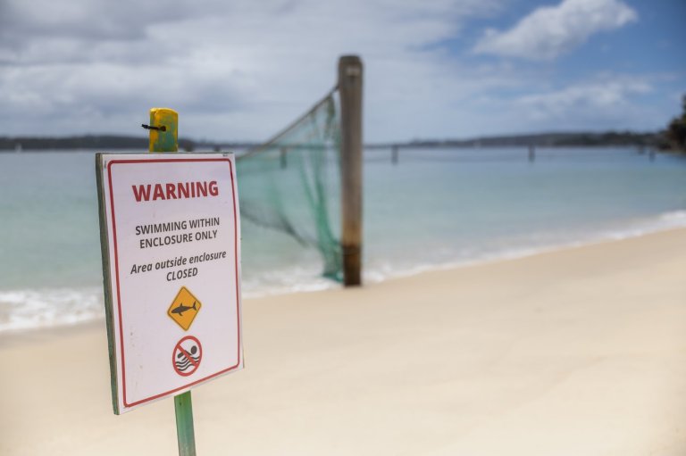 Man and boy critical after three shark attacks in Sydney in just over 24 hours | iNFOnews.ca