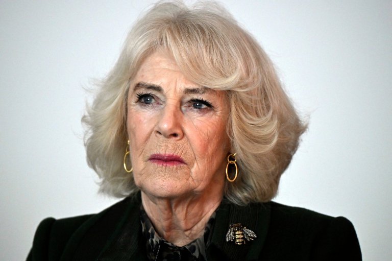 UK's Queen Camilla recalls assault in 1960s as she campaigns against domestic violence | iNFOnews.ca