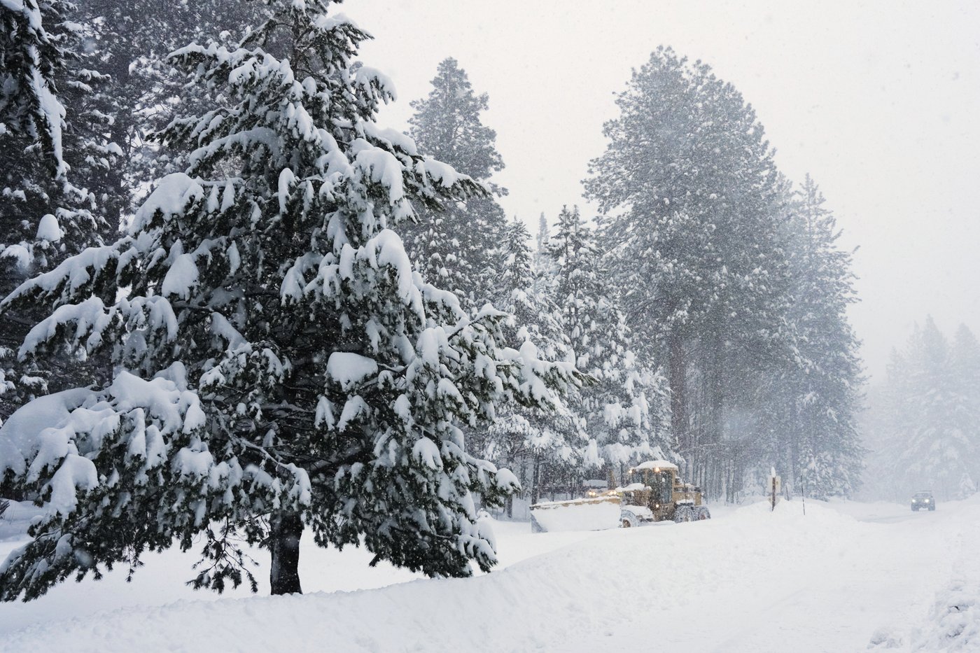 Rescuers race to save 6 skiers trapped by California avalanche that's left 10 more missing | iNFOnews.ca Rescuers race to save 6 skiers trapped by California avalanche that's left 10 more missing | iNFOnews.ca
