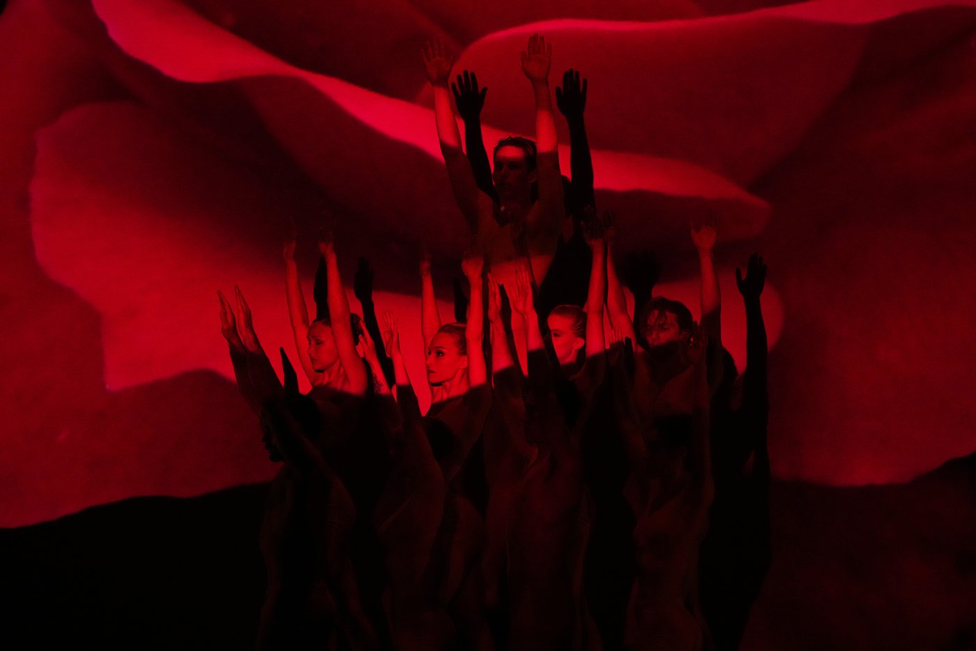 Photos show MOMIX performing its second season of 'Botanica' in Rome | iNFOnews.ca