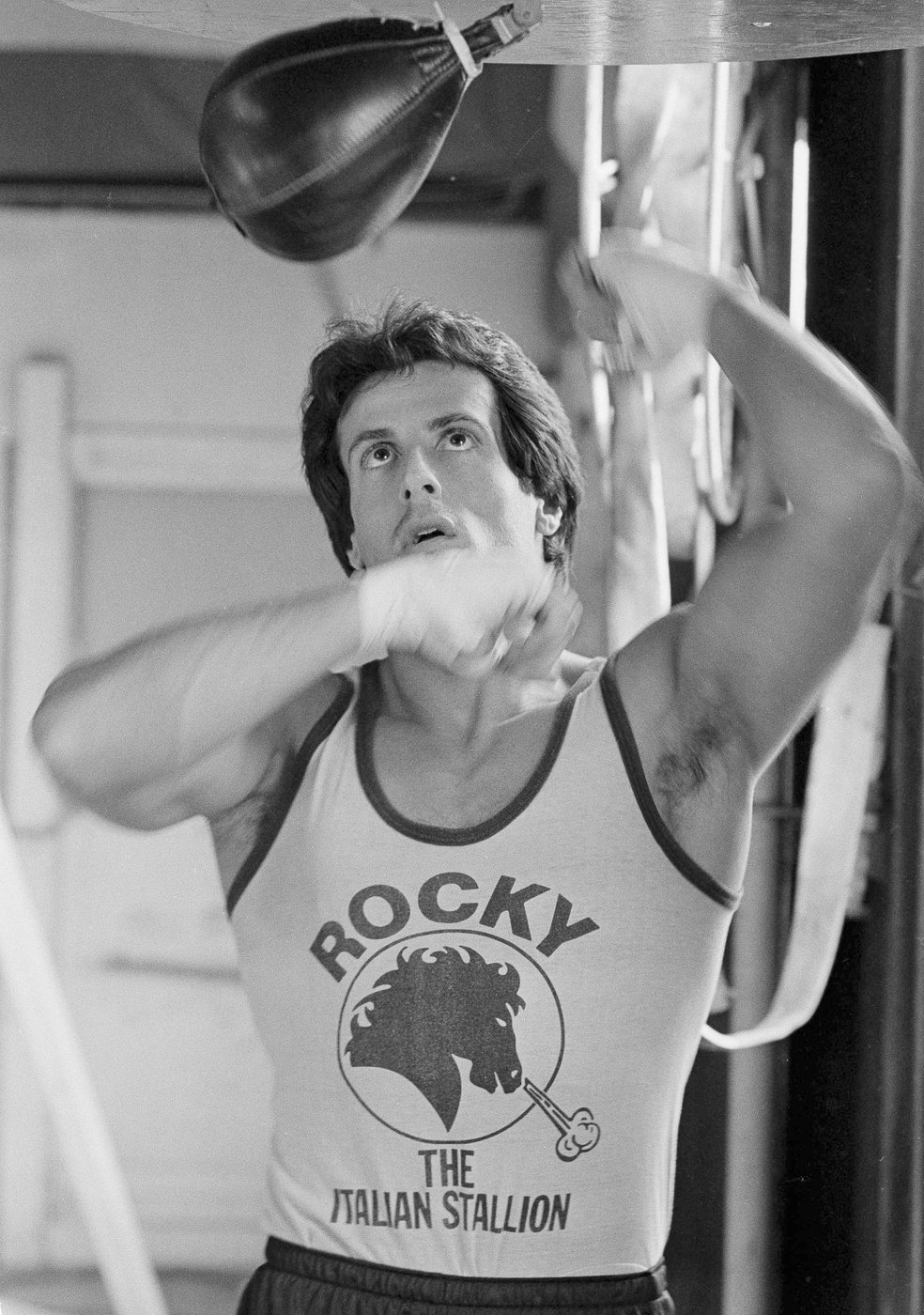 Stallone at 80 reflects on 'Rocky' 50 years later: 'I am a lucky dog' | iNFOnews.ca
