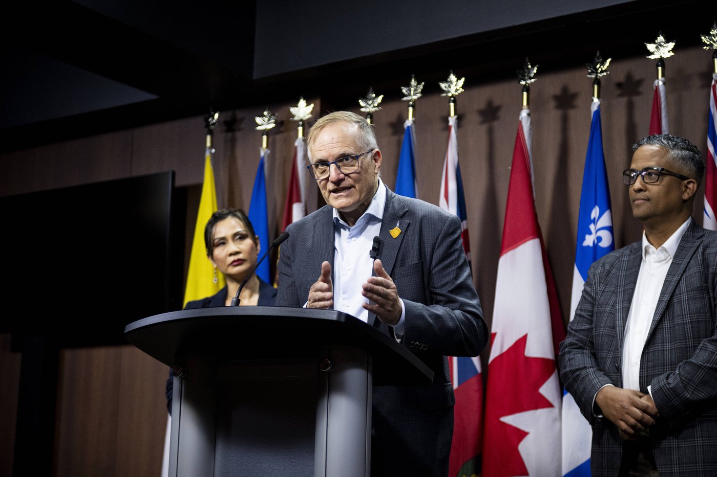 Former MPs launch volunteer effort to renew NDP ahead of leadership race | iNFOnews.ca
