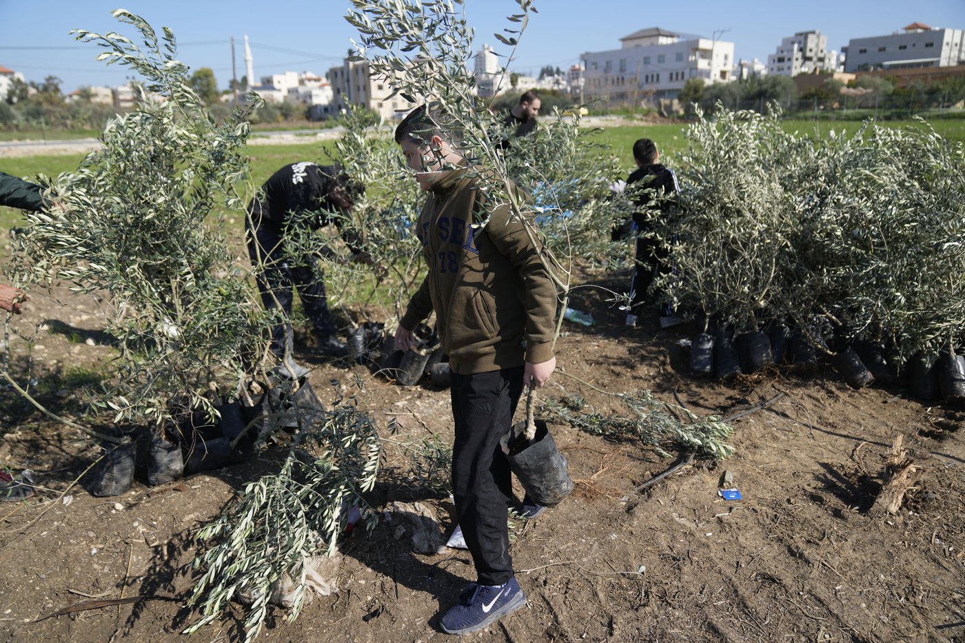 Palestinians dedicate West Bank olive grove to Jimmy Carter | iNFOnews.ca Palestinians dedicate West Bank olive grove to Jimmy Carter | iNFOnews.ca