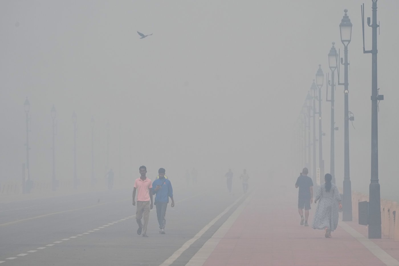 Thick, hazardous smog blankets New Delhi after Diwali fireworks | iNFOnews.ca