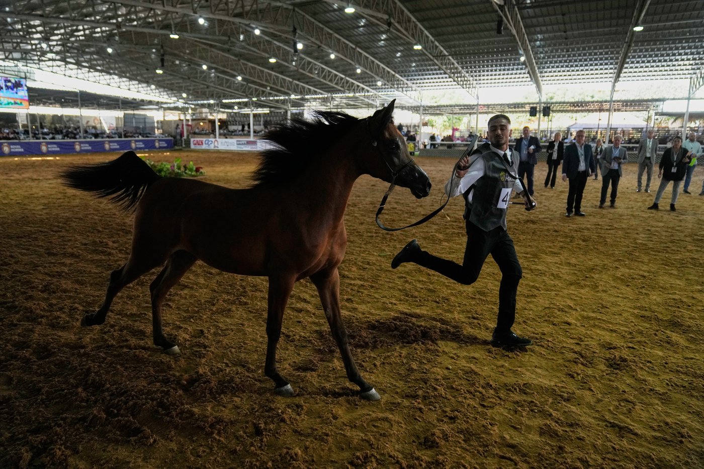 The top photos of the day by AP's photojournalists | iNFOnews.ca