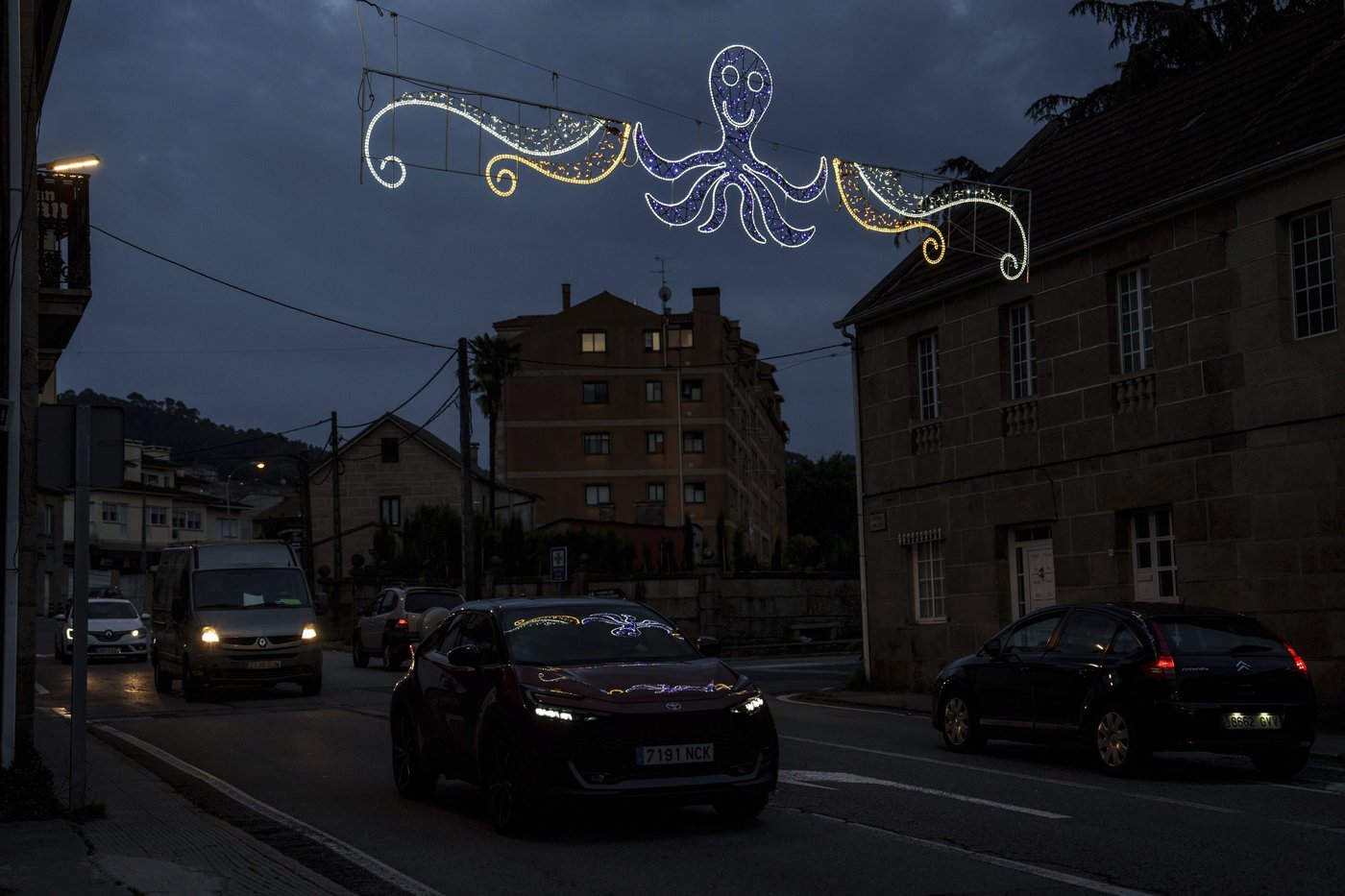 As octopuses dwindle in Spanish waters, suppliers look to imports and farming despite concerns | iNFOnews.ca