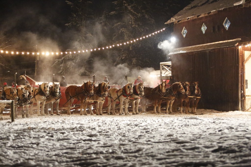 The gift of a magical experience at Caravan Farm Theatre in Armstrong | iNFOnews.ca The gift of a magical experience at Caravan Farm Theatre in Armstrong | iNFOnews.ca