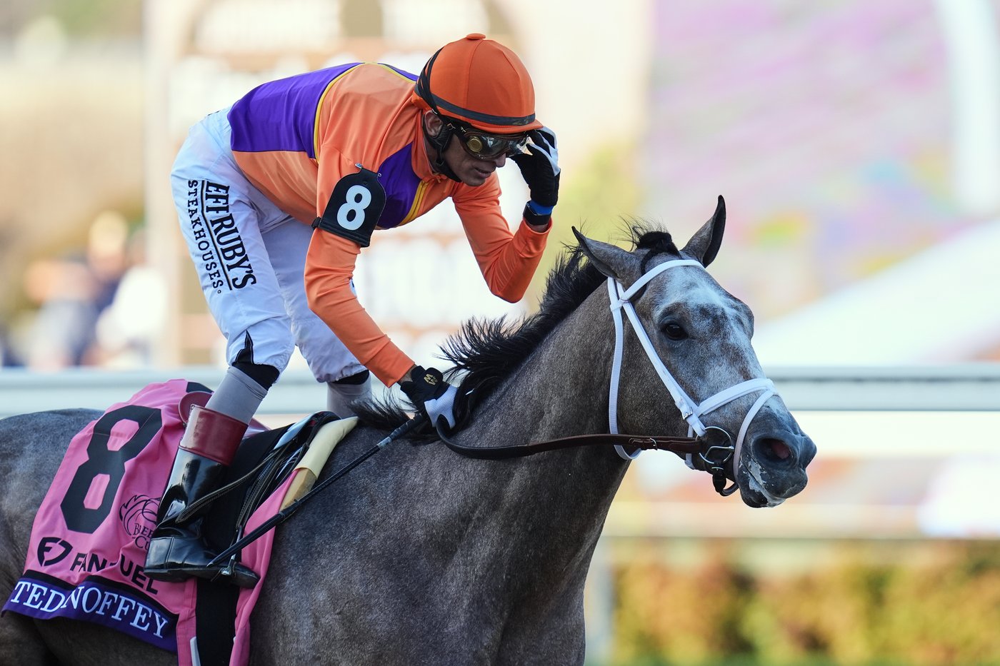 Sovereignty wins Horse of the Year at Eclipse Awards, Bill Mott named top trainer | iNFOnews.ca