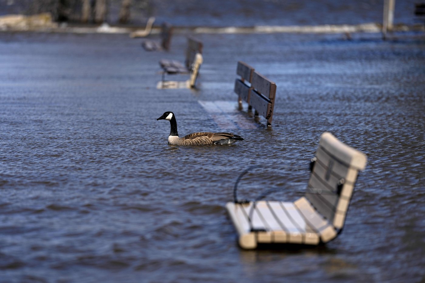 Quebec and Ontario officials are remaining on alert over spring flooding | iNFOnews.ca