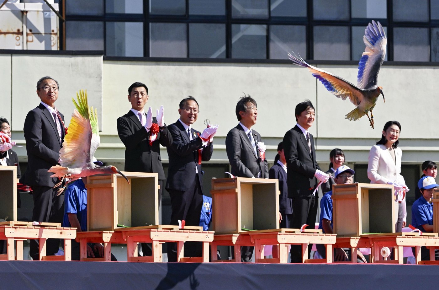 8 crested ibises released in Japanese town decades after extinction in Japan | iNFOnews.ca