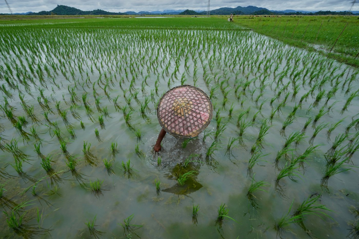 Daily life around the world, in photos | iNFOnews.ca