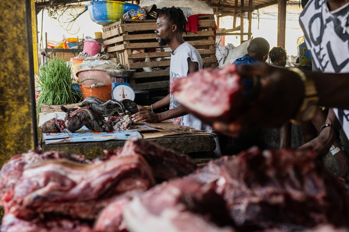 As Ebola scourges Congo, experts warn of link to eating wild animals | iNFOnews.ca