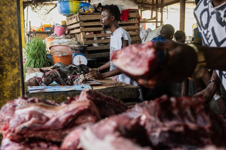 As Ebola scourges Congo, experts warn of link to the consumption of 'wild meat' | iNFOnews.ca