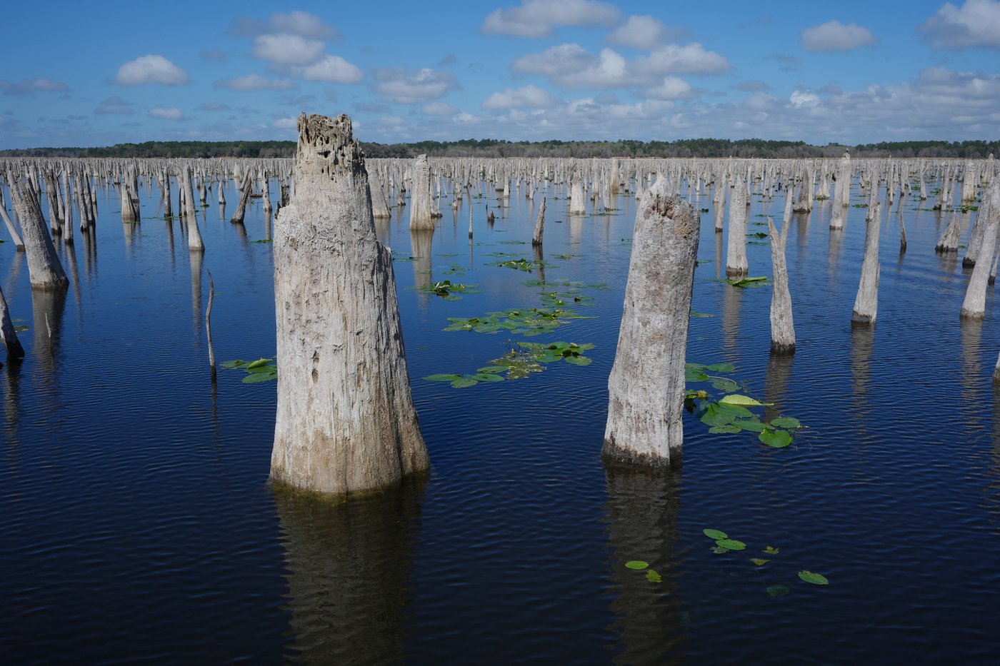 Top photos of the day by The Associated Press | iNFOnews.ca