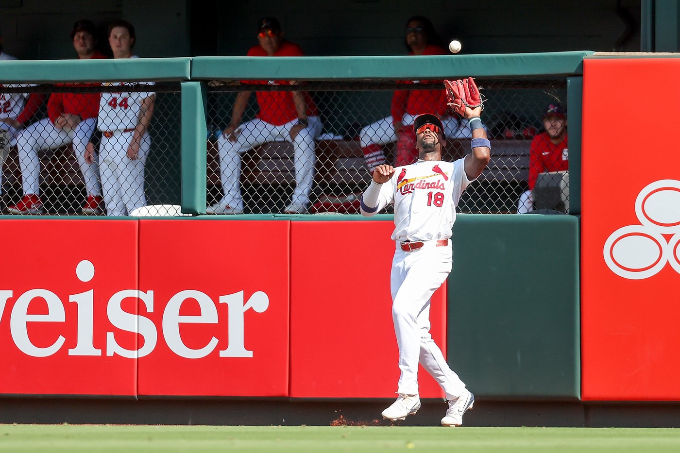 Bernal, Herrera homer in eighth inning to help Cardinals beat Nationals 5-3 | iNFOnews.ca
