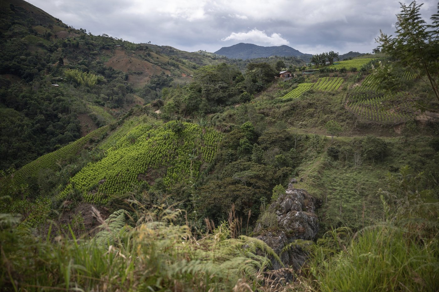 Takeaways from AP's reporting on armed groups recruiting children in Colombia | iNFOnews.ca Takeaways from AP's reporting on armed groups recruiting children in Colombia | iNFOnews.ca