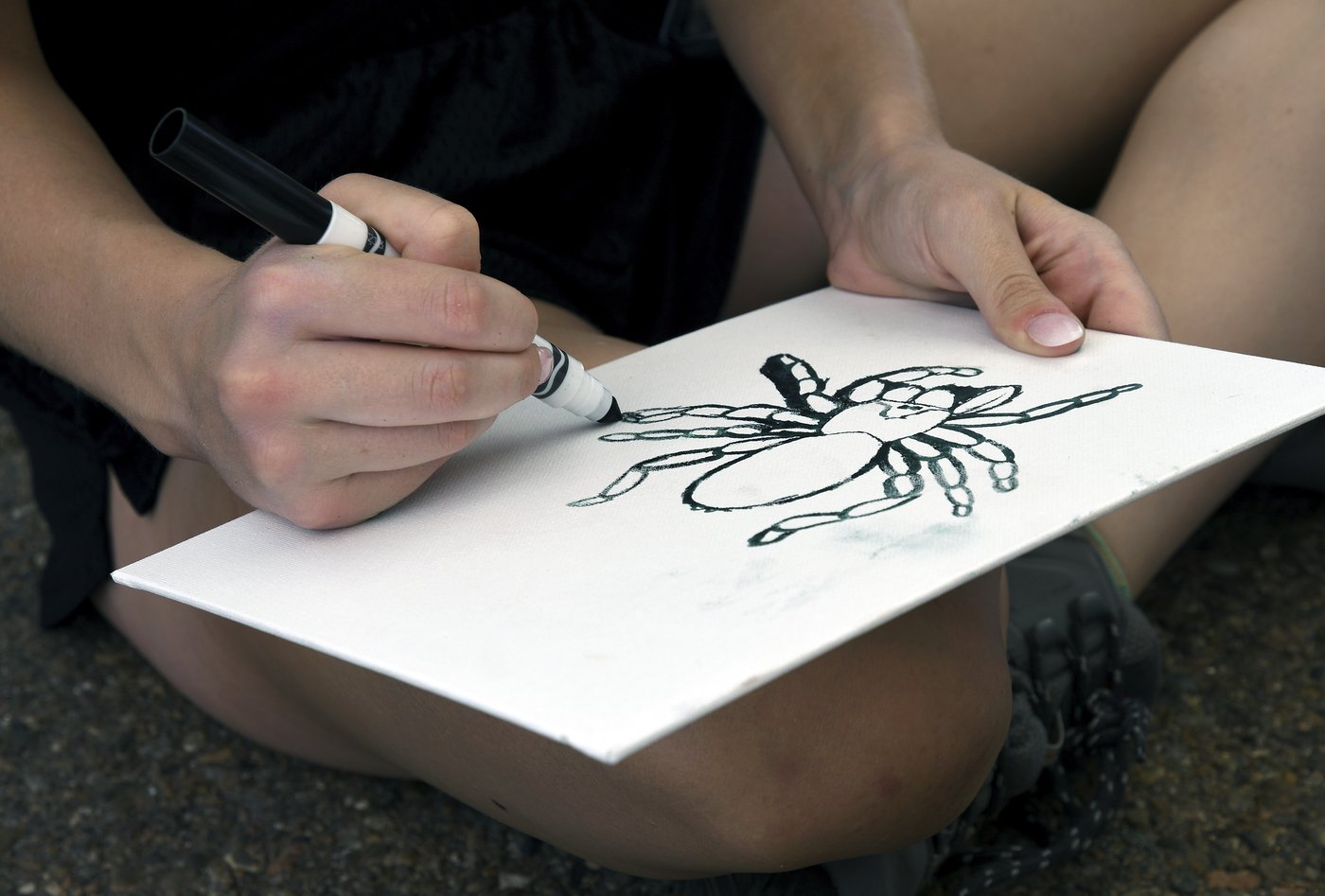 Spider lovers scurry to Colorado town in search of mating tarantulas and community | iNFOnews.ca Spider lovers scurry to Colorado town in search of mating tarantulas and community | iNFOnews.ca
