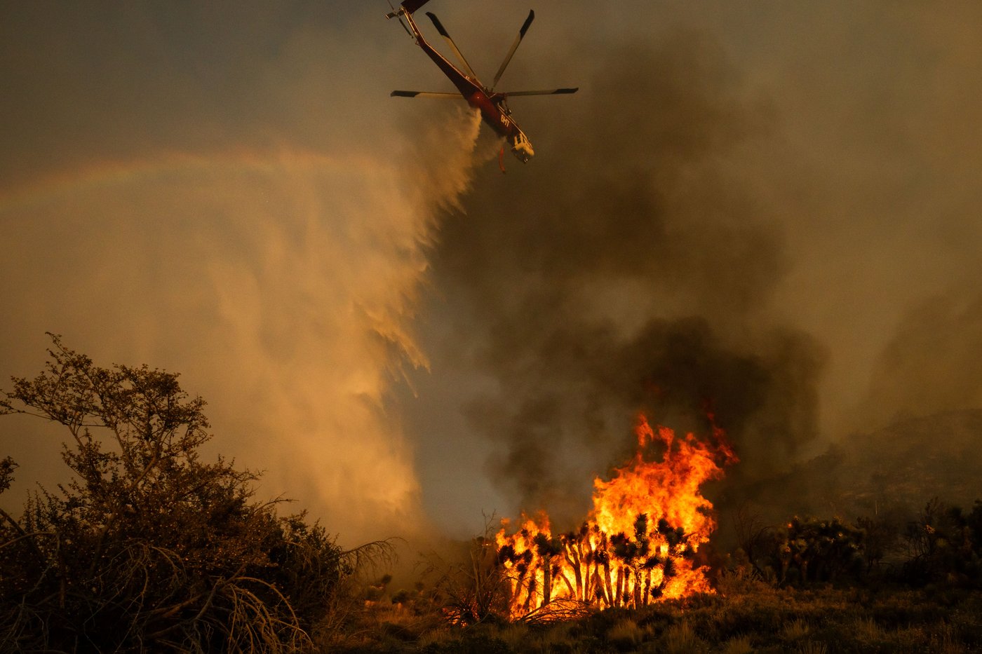 Rapidly growing wildfire in Los Angeles County prompts evacuations in remote high desert | iNFOnews.ca Rapidly growing wildfire in Los Angeles County prompts evacuations in remote high desert | iNFOnews.ca