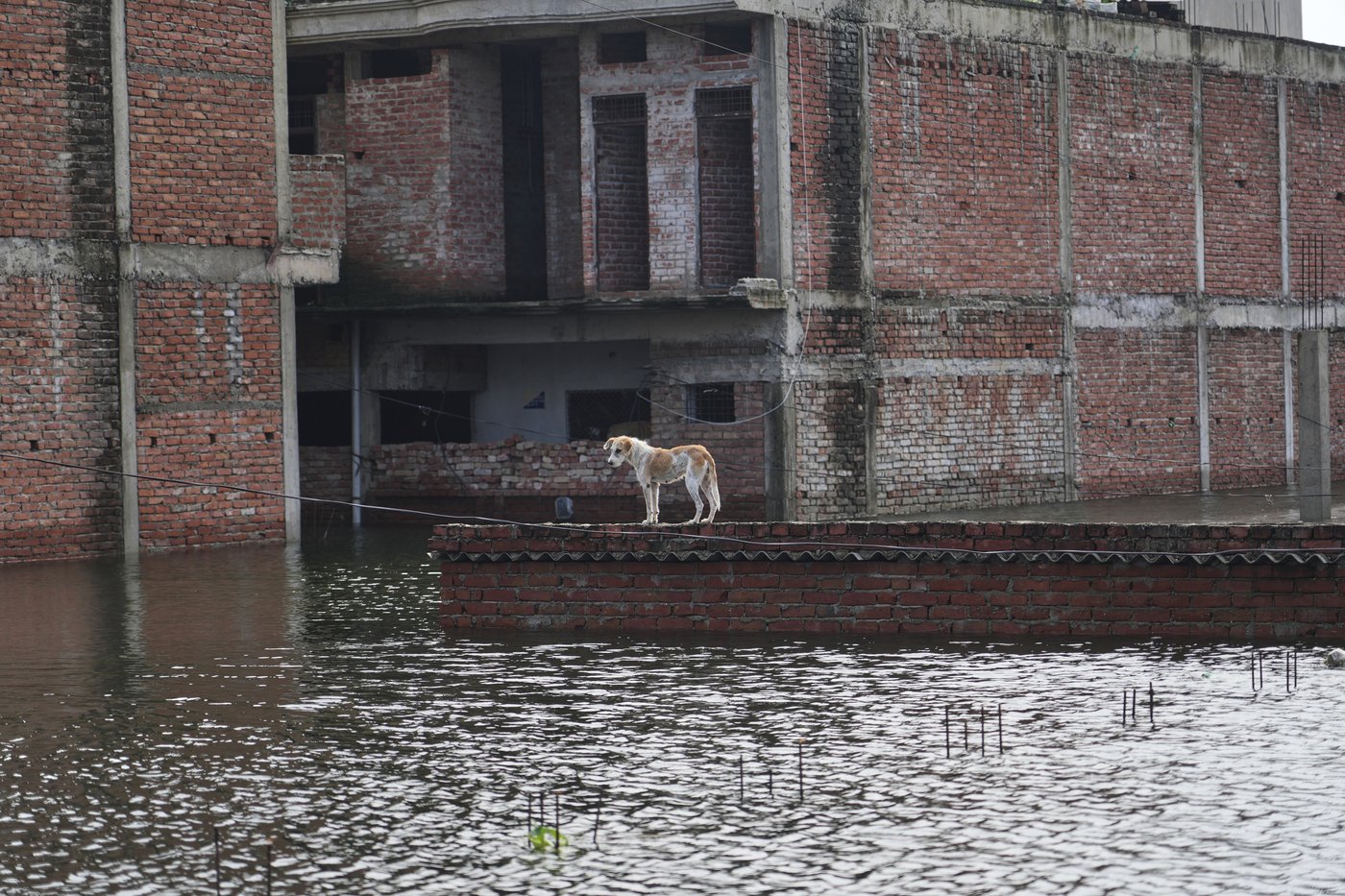 Flash floods kill at least 4 and trap others under debris in northern India | iNFOnews.ca