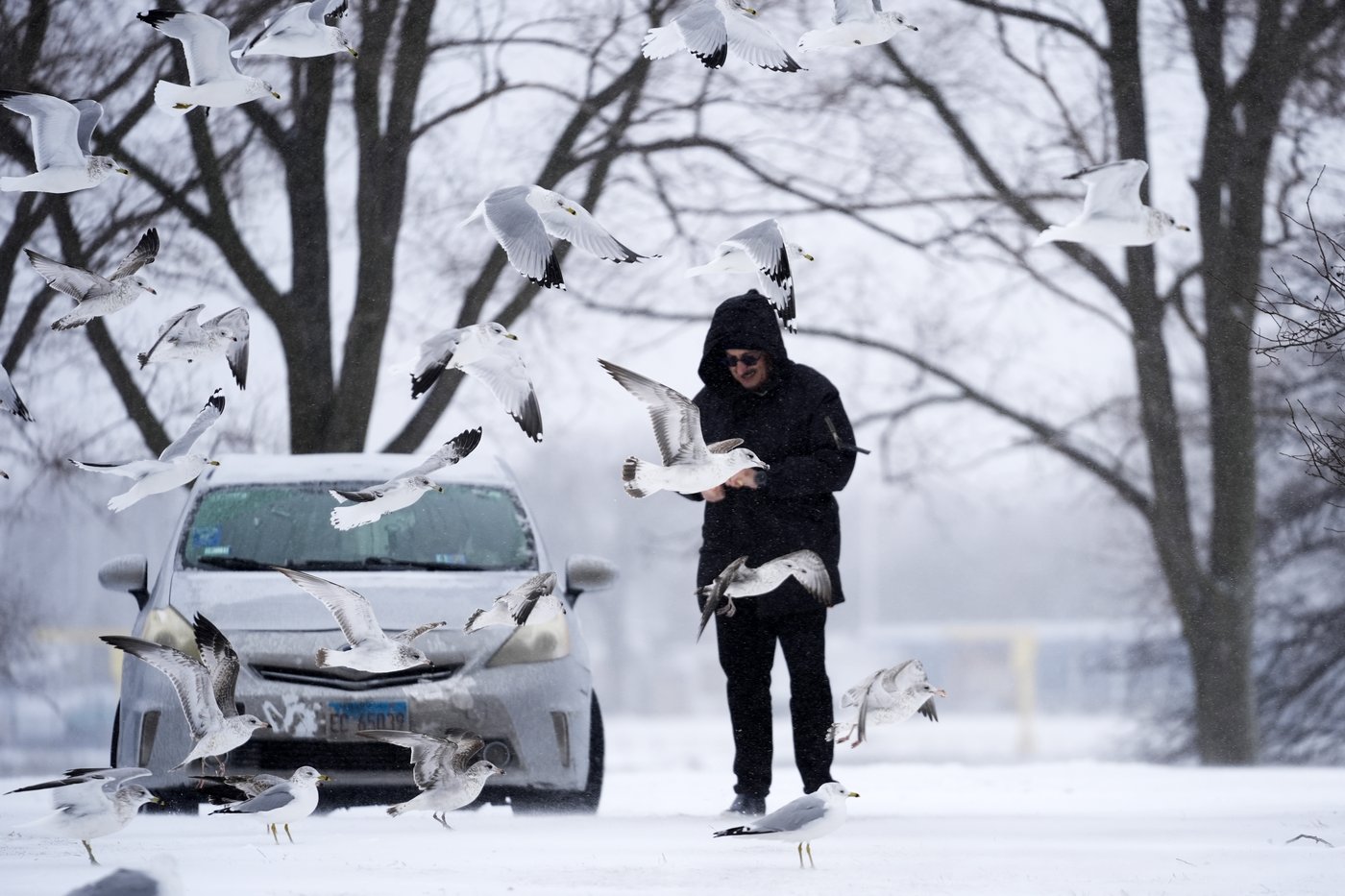 PHOTO COLLECTION: Winter Weather | iNFOnews.ca