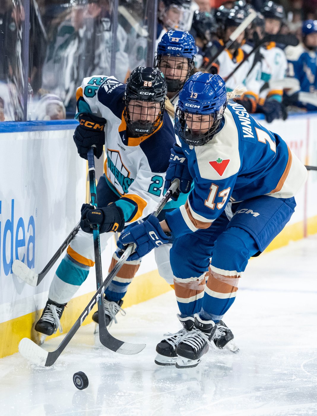 Gosling, O'Brien, Winn named finalists for PWHL rookie of the year award | iNFOnews.ca