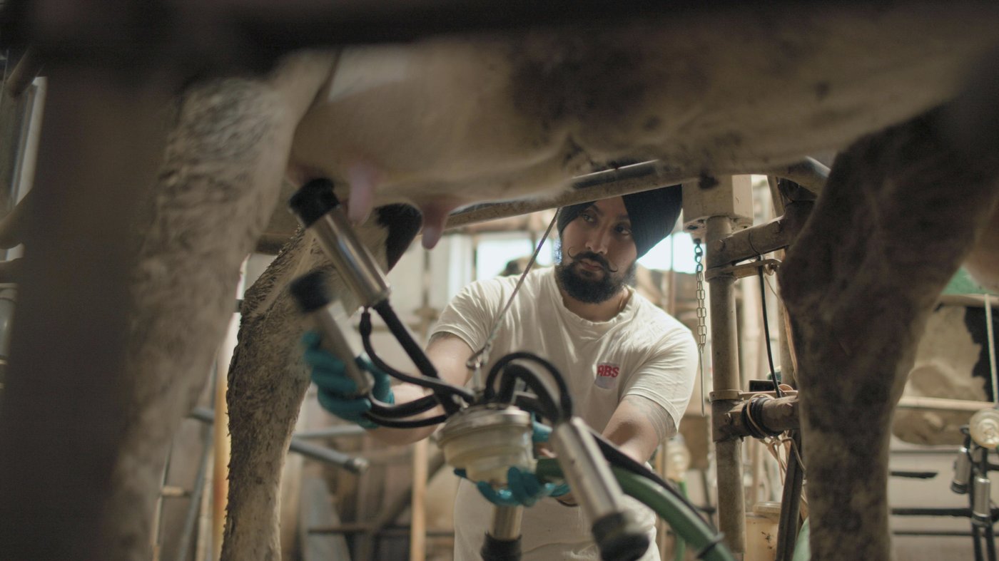 Stanley Tucci returns to Italy with National Geographic series and vows to 'go more in depth' | iNFOnews.ca