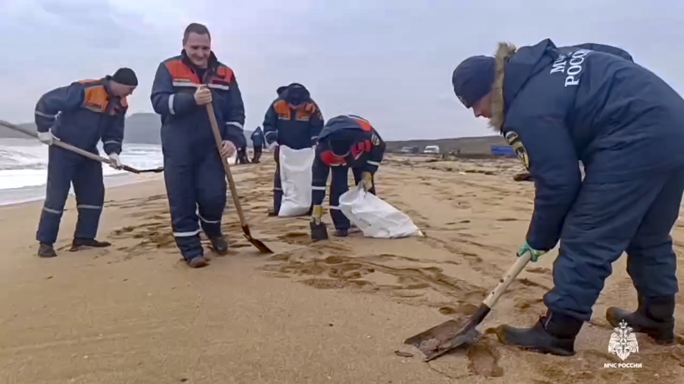 More than 30 dolphins have died since an oil spill in Russia, experts say | iNFOnews.ca More than 30 dolphins have died since an oil spill in Russia, experts say | iNFOnews.ca