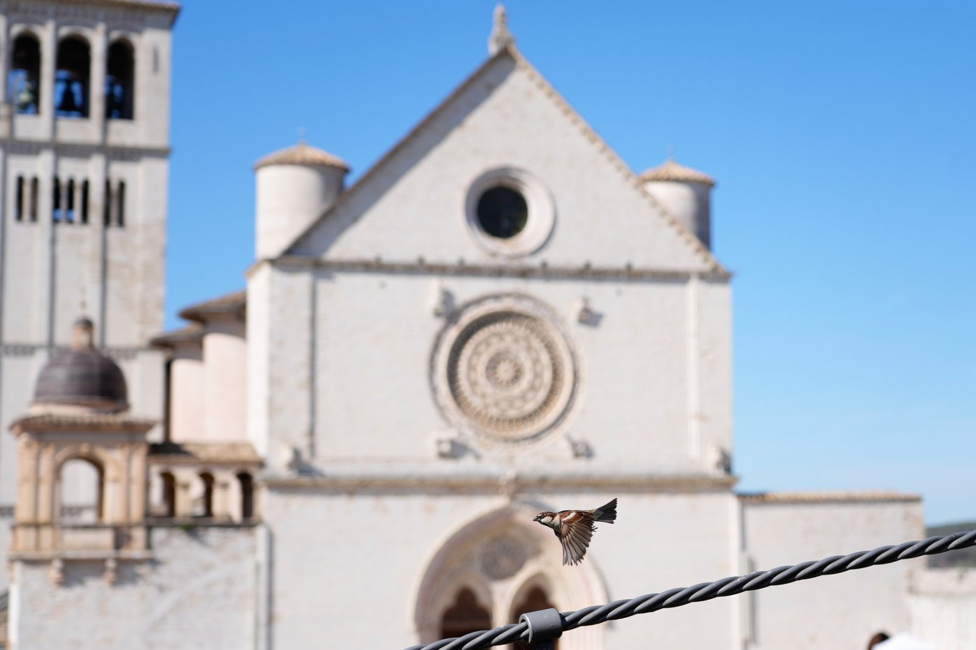 Photos from Assisi as the bones of St. Francis go on display | iNFOnews.ca