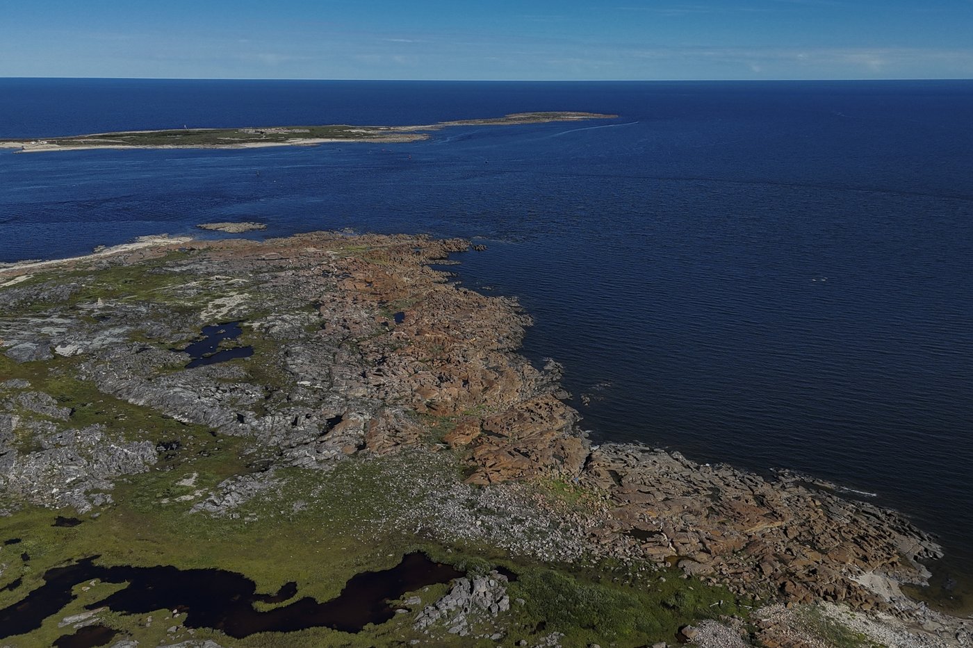 Offering a dose of healing, curious beluga whales frolic in a warming Hudson Bay | iNFOnews.ca Offering a dose of healing, curious beluga whales frolic in a warming Hudson Bay | iNFOnews.ca