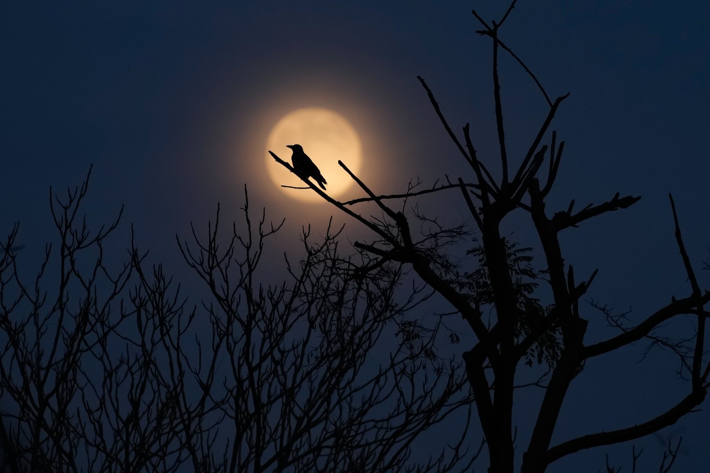 Photos show the last supermoon of the year shining in December skies | iNFOnews.ca