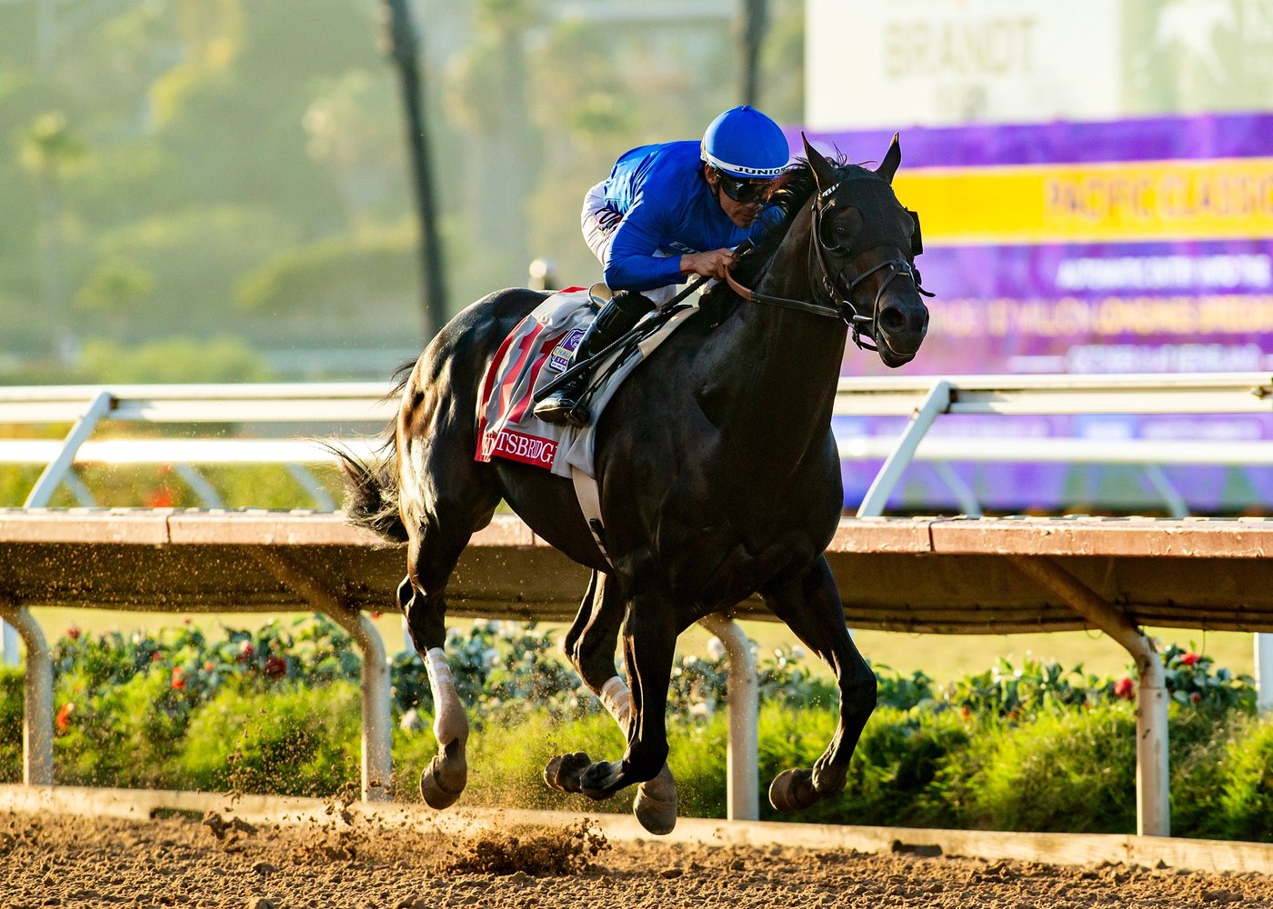 Knightsbridge pulls away to win the $1M Pacific Classic by 6 1/4 lengths | iNFOnews.ca