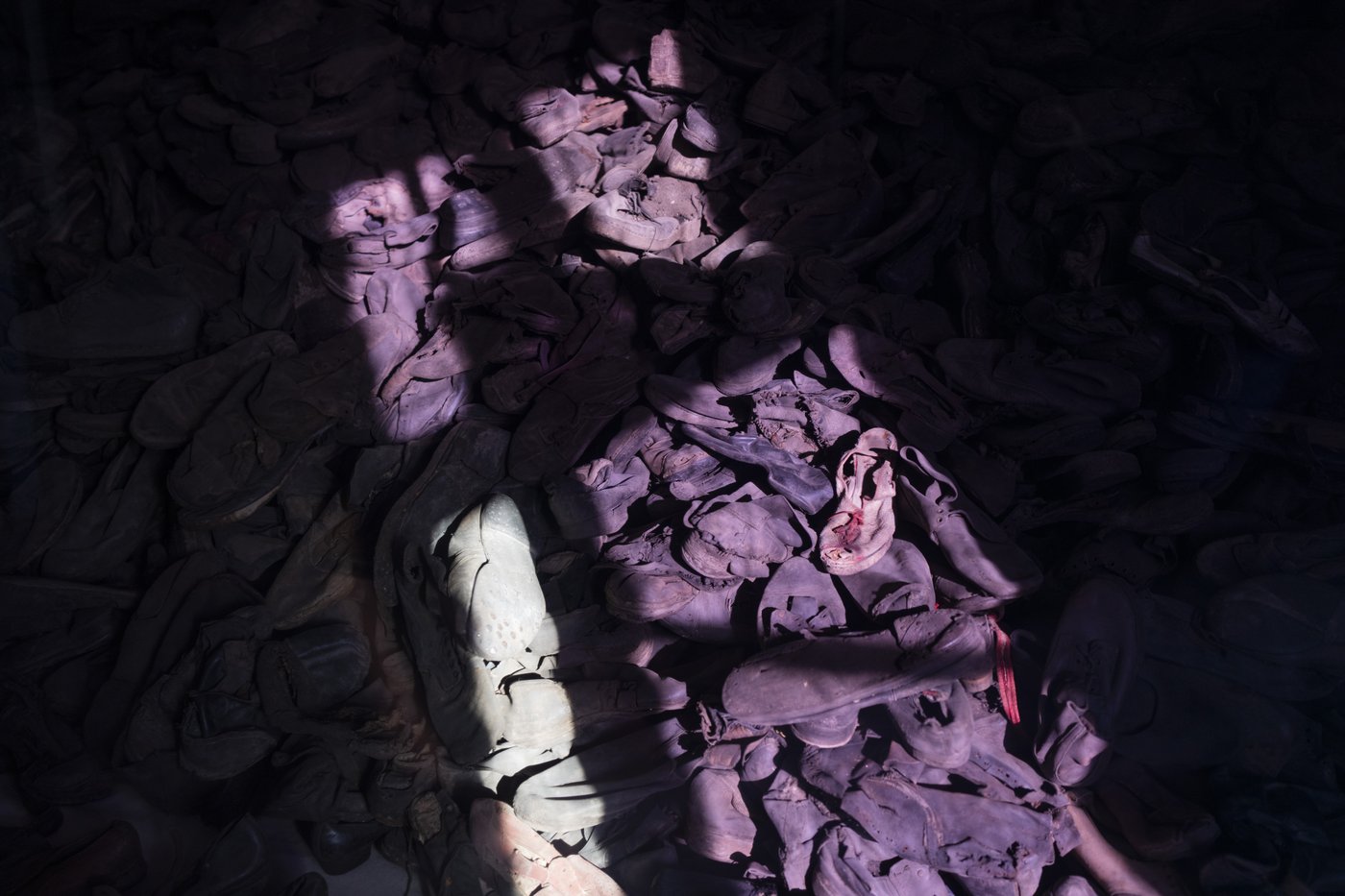 PHOTO COLLECTION: Poland Auschwitz 80th Anniversary | iNFOnews.ca