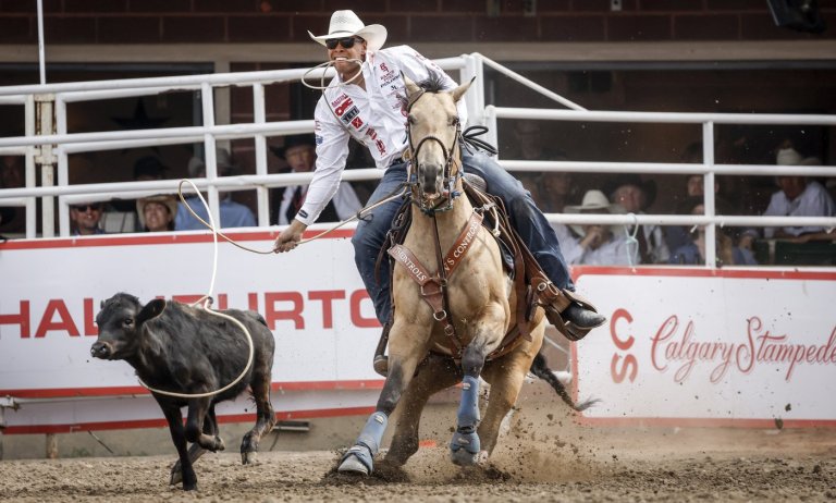 Screwworm ban could see some Stampede competitors making changes | iNFOnews.ca