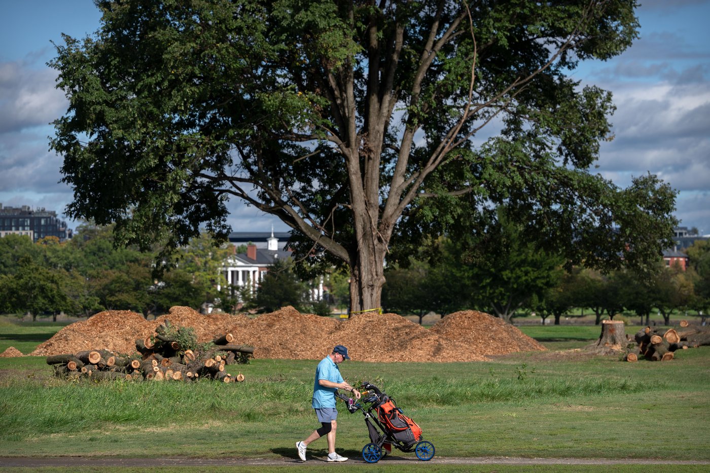Trump says he will close historic DC golf course for 15 months of renovations | iNFOnews.ca Trump says he will close historic DC golf course for 15 months of renovations | iNFOnews.ca