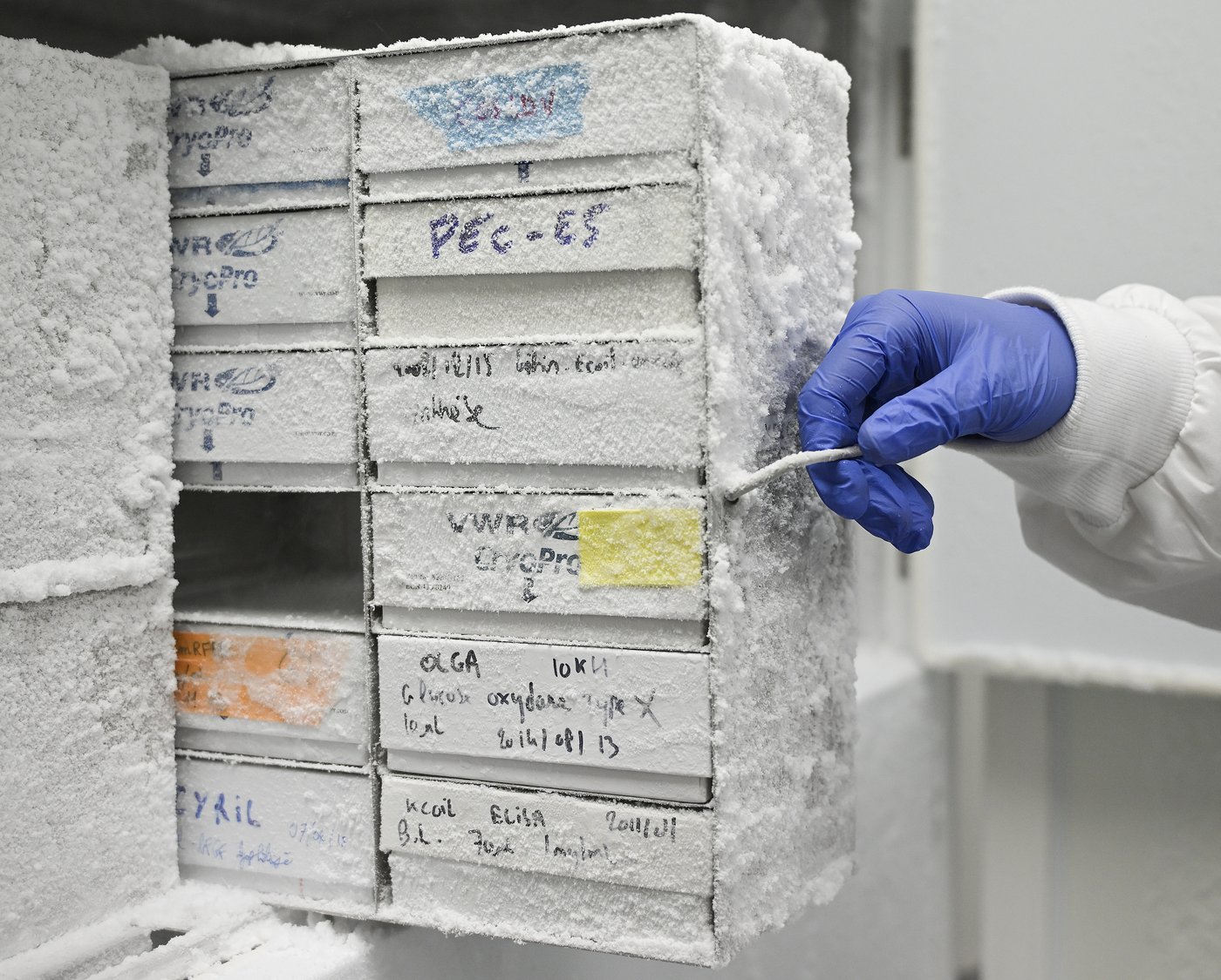 Inside the Montreal lab working to prepare Canada against future pandemics | iNFOnews.ca