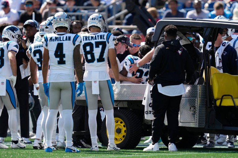 Panthers receiver David Moore carted off field with elbow injury on game's first play | iNFOnews.ca