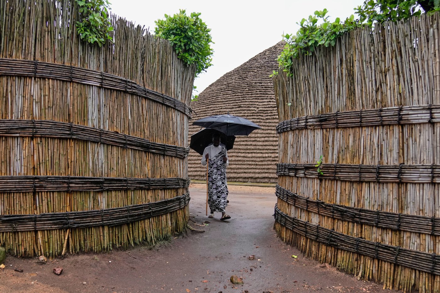 In Rwanda, a royal herd of cattle is treated to poetry and cultural reverence | iNFOnews.ca In Rwanda, a royal herd of cattle is treated to poetry and cultural reverence | iNFOnews.ca
