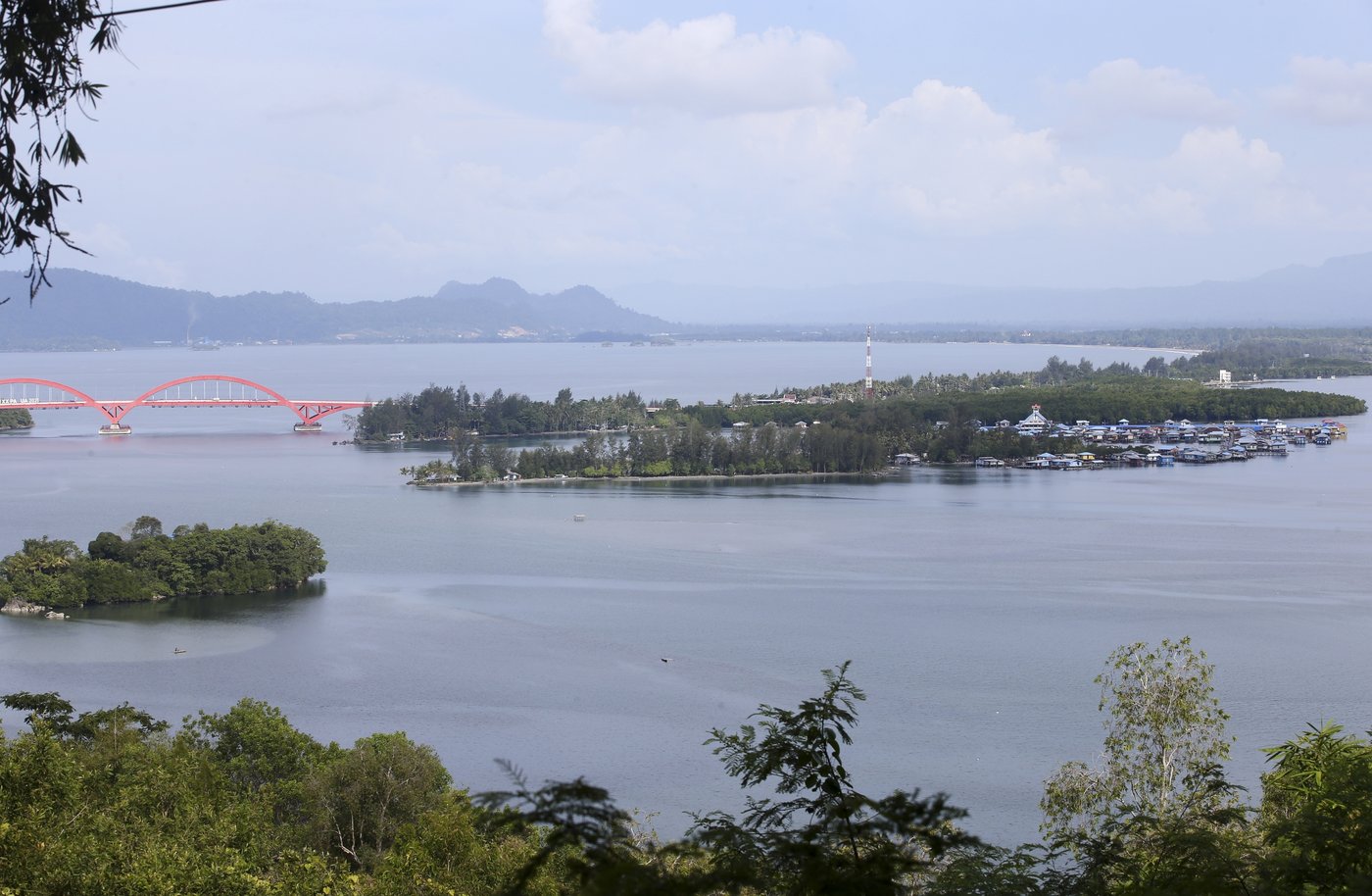 Papuan women's mangrove forest in Indonesia is increasingly threatened by development and pollution | iNFOnews.ca Papuan women's mangrove forest in Indonesia is increasingly threatened by development and pollution | iNFOnews.ca
