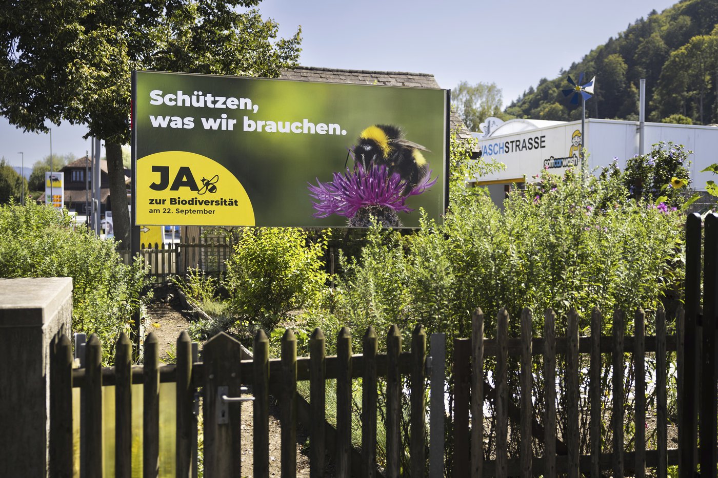 Birds, bees and ballots: Swiss voters to decide on plan to bolster country's fragile biodiversity | iNFOnews.ca Birds, bees and ballots: Swiss voters to decide on plan to bolster country's fragile biodiversity | iNFOnews.ca