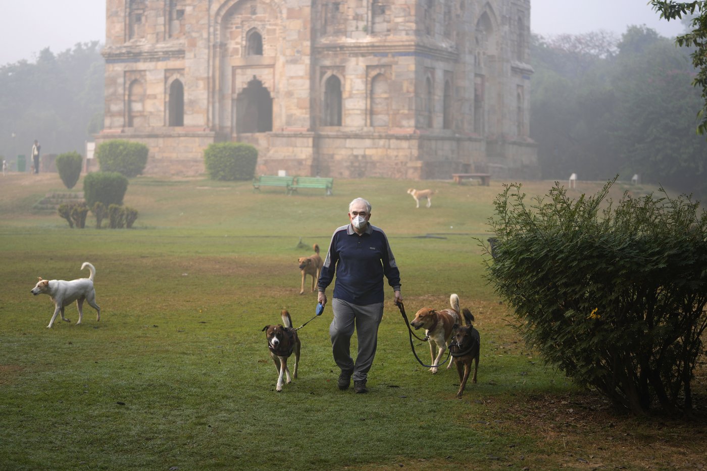 Park regulars in New Delhi's Lodhi Garden say toxic pollution levels won't force them out | iNFOnews.ca