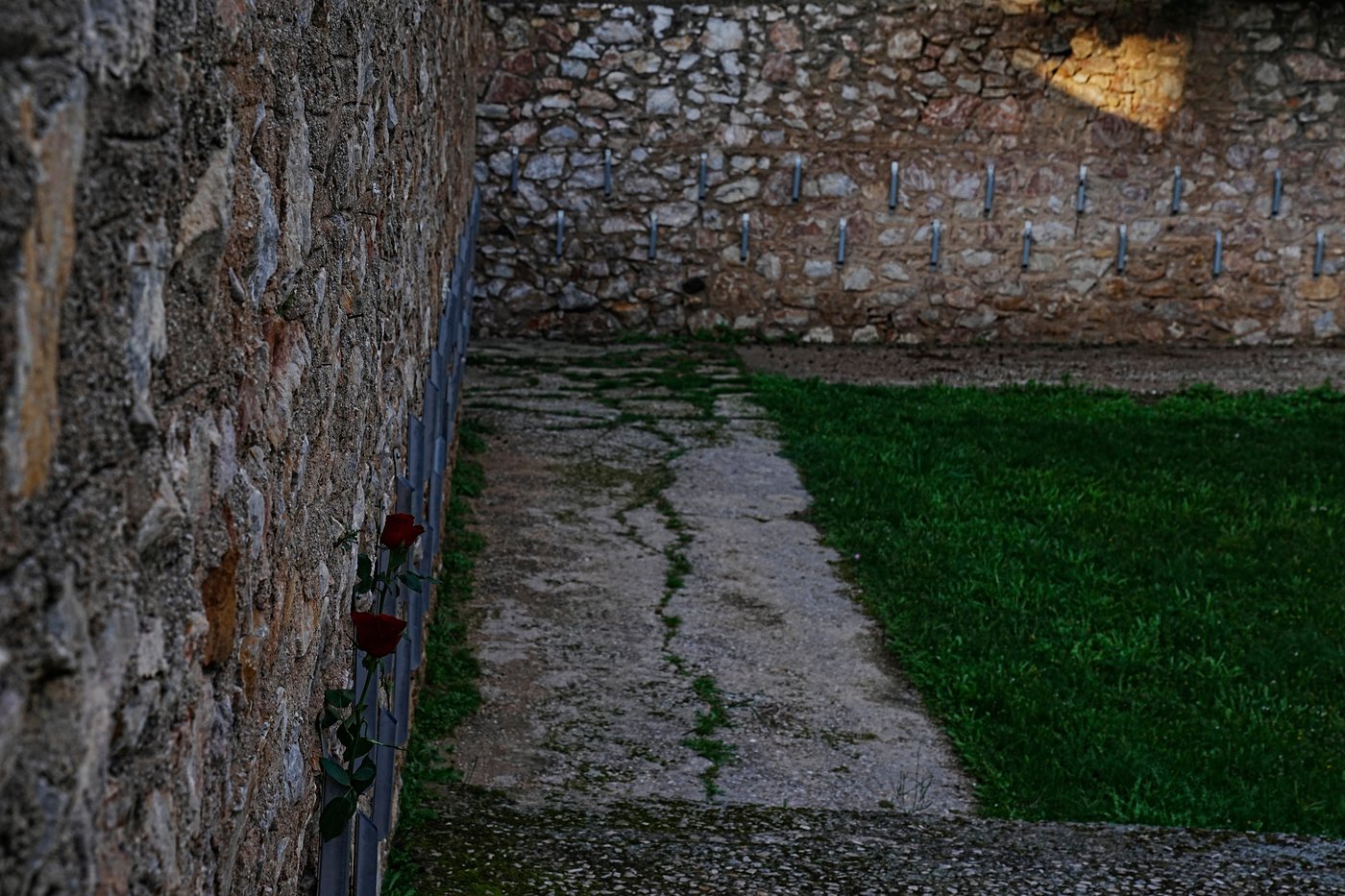 Greece will seek to obtain Nazi execution photos offered for sale online | iNFOnews.ca Greece will seek to obtain Nazi execution photos offered for sale online | iNFOnews.ca