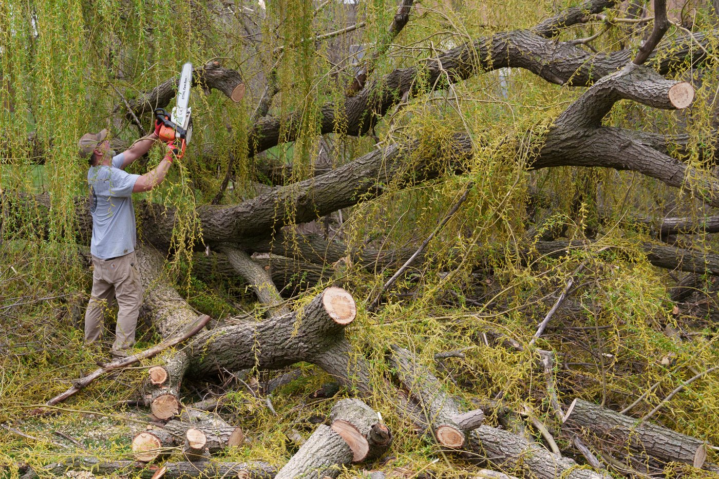 Severe storms continue to produce heavy rain, lightning and flooding across parts of US | iNFOnews.ca